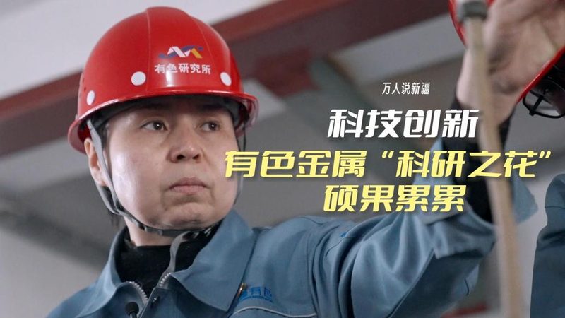 OA协同办公：揭秘其优缺点与差异对比